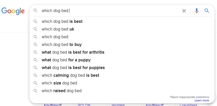 google_auto_suggest.PNG