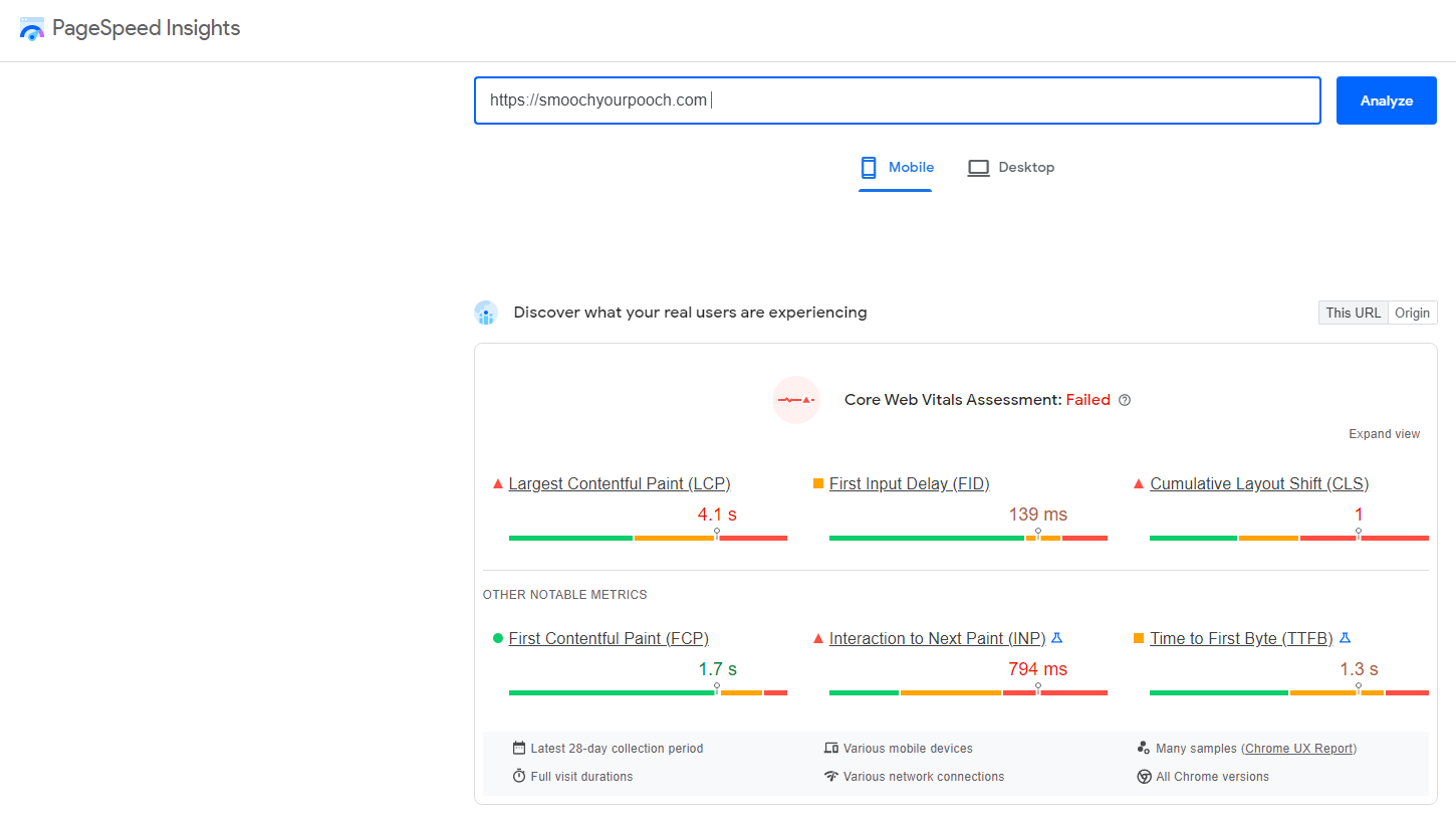 google_pagespeed_insights.png