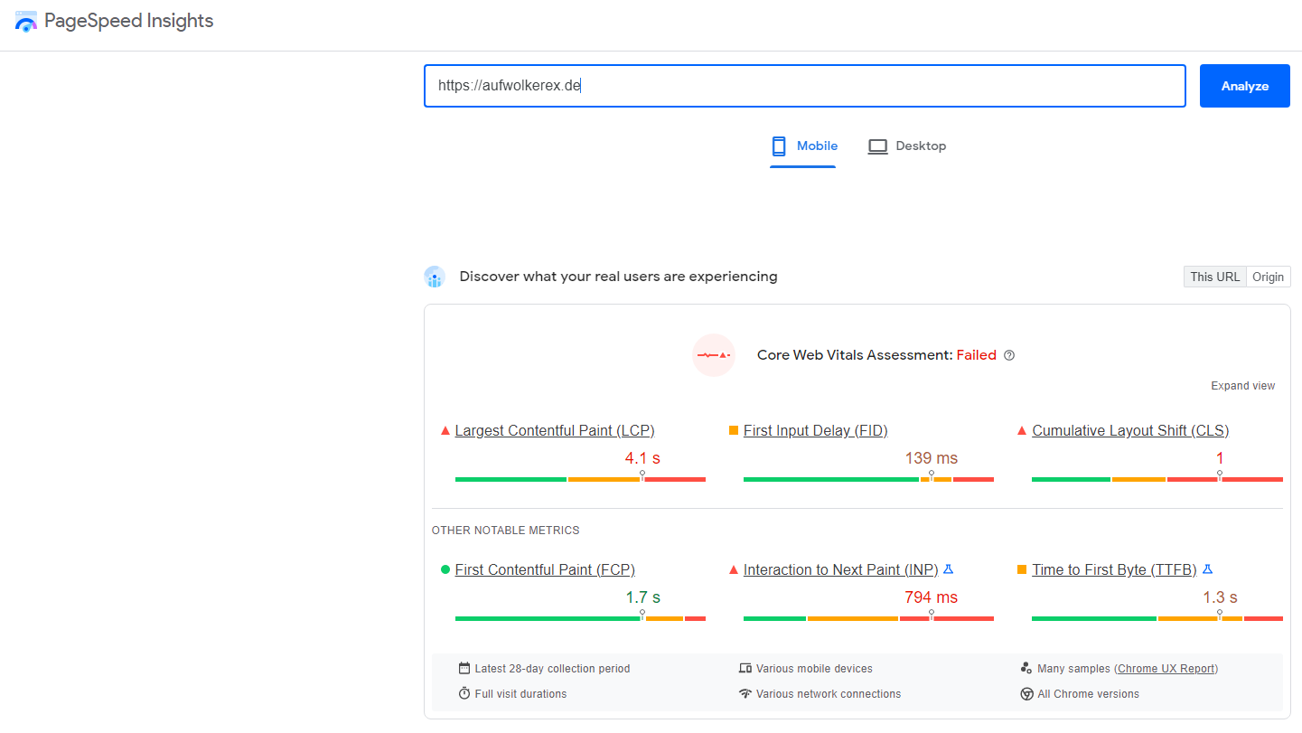 google_pagespeed_insights_xn_de.png