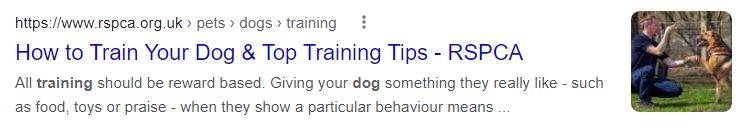 snippet_question_title.PNG